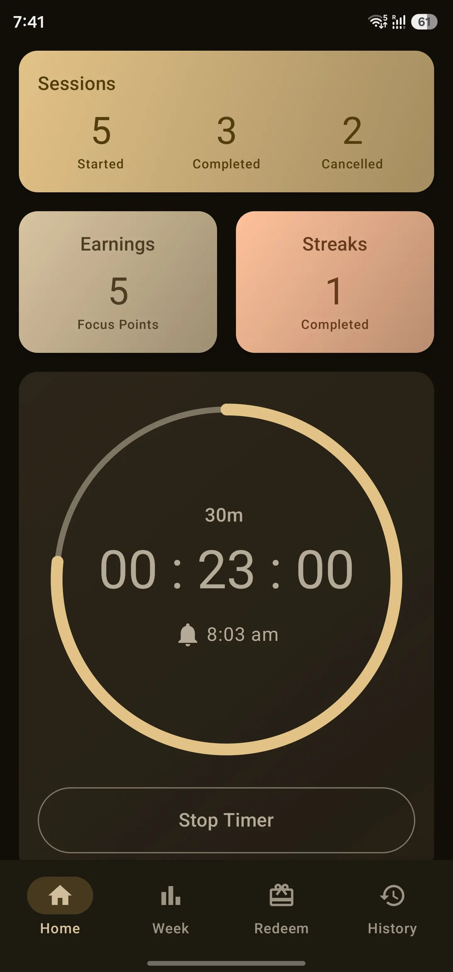 Chronarch home screen with session totals and an active 30-minute focus timer